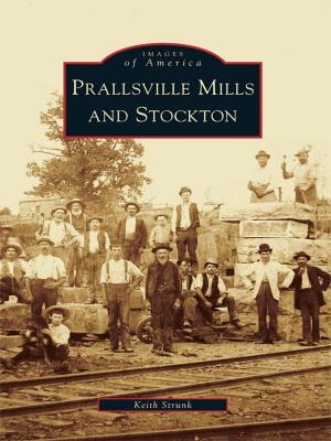 Cover of the book Prallsville Mills and Stockton by Paul S. Morando, David J. Johnson