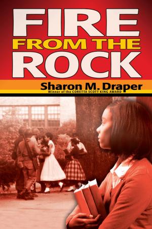 Cover of the book Fire from the Rock by Jean M. Malone
