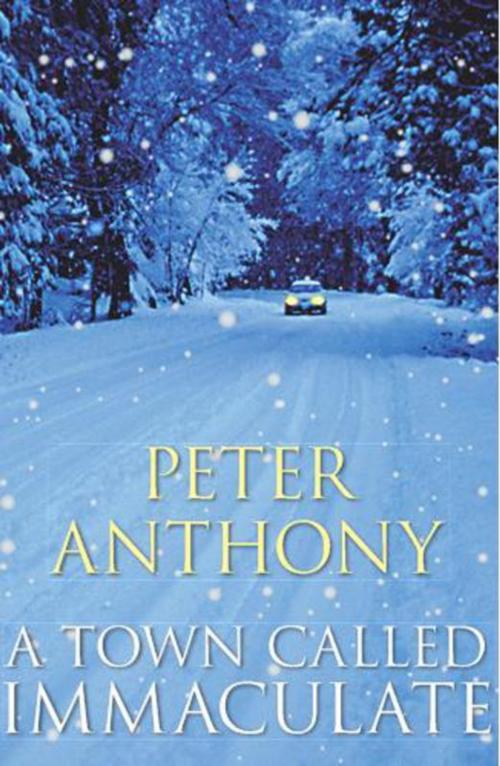 Cover of the book A Town Called Immaculate by Peter Anthony, Pan Macmillan