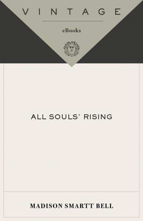 Cover of the book All Souls' Rising by Madison Smartt Bell, Knopf Doubleday Publishing Group