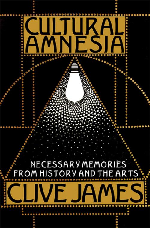 Cover of the book Cultural Amnesia: Necessary Memories from History and the Arts by Clive James, W. W. Norton & Company