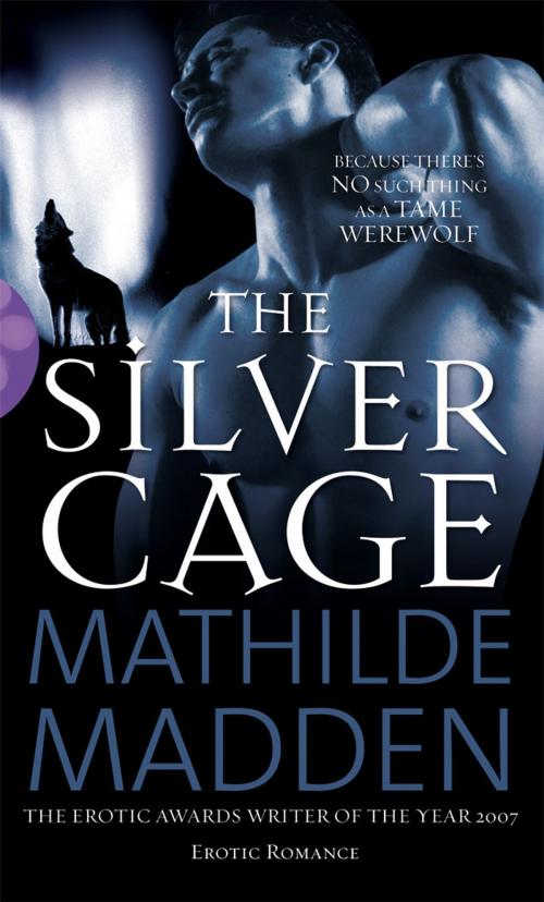 Cover of the book The Silver Cage by Mathilde Madden, Ebury Publishing