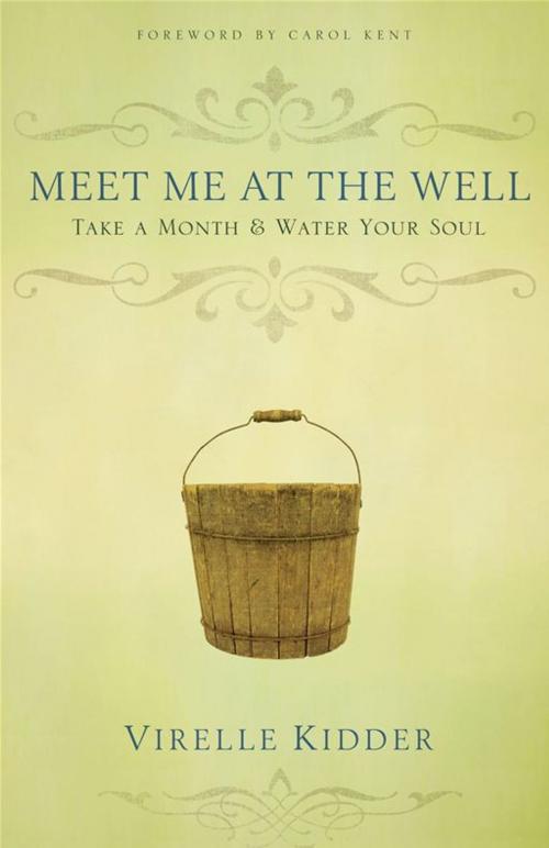 Cover of the book Meet Me At The Well by Virelle Kidder, Moody Publishers