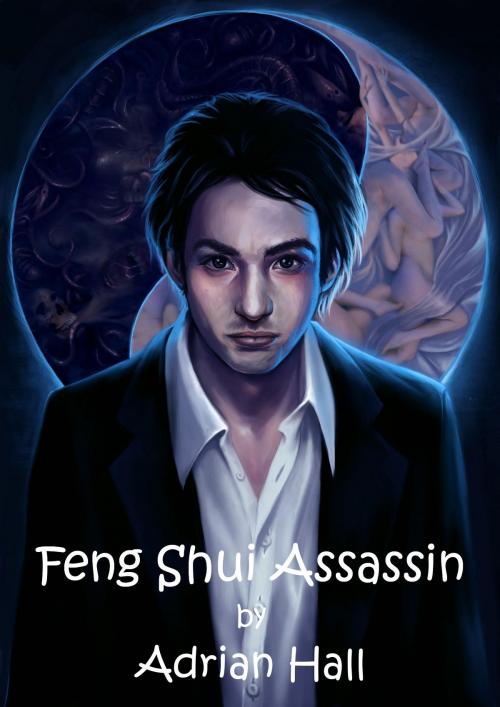 Cover of the book Feng Shui Assassin by Adrian Hall, Adrian Hall