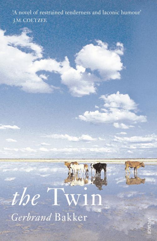 Cover of the book The Twin by Gerbrand Bakker, Random House