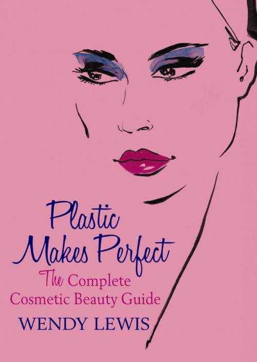 Cover of the book Plastic Makes Perfect by Wendy Lewis, Orion Publishing Group