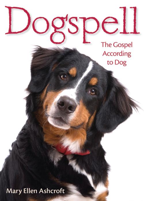 Cover of the book Dogspell by Mary Ellen Ashcroft, Church Publishing Inc.