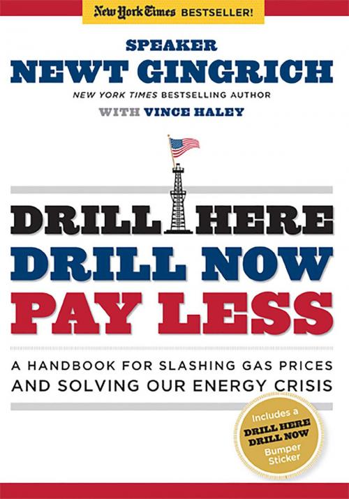 Cover of the book Drill Here, Drill Now, Pay Less by Newt Gingrich, Regnery Publishing