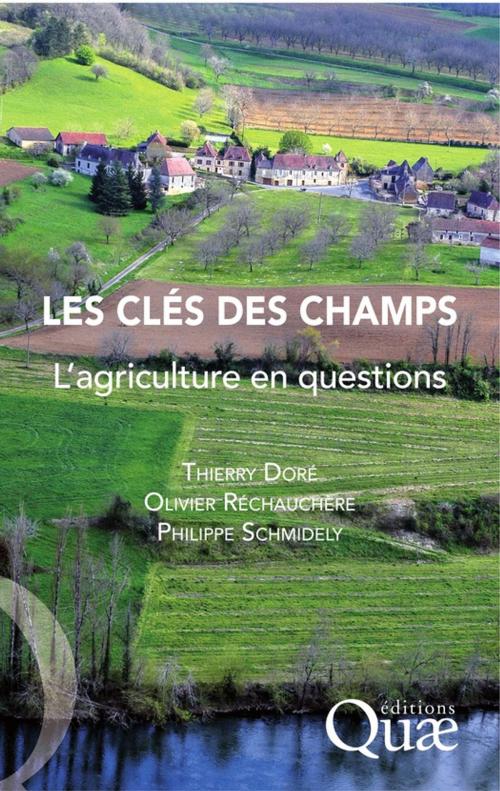 Cover of the book Les clés des champs by Philippe Schmidely, Olivier Réchauchère, Thierry Doré, Quae