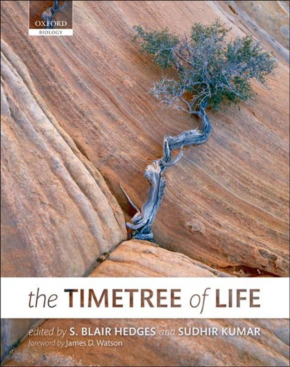 Big bigCover of The Timetree of Life