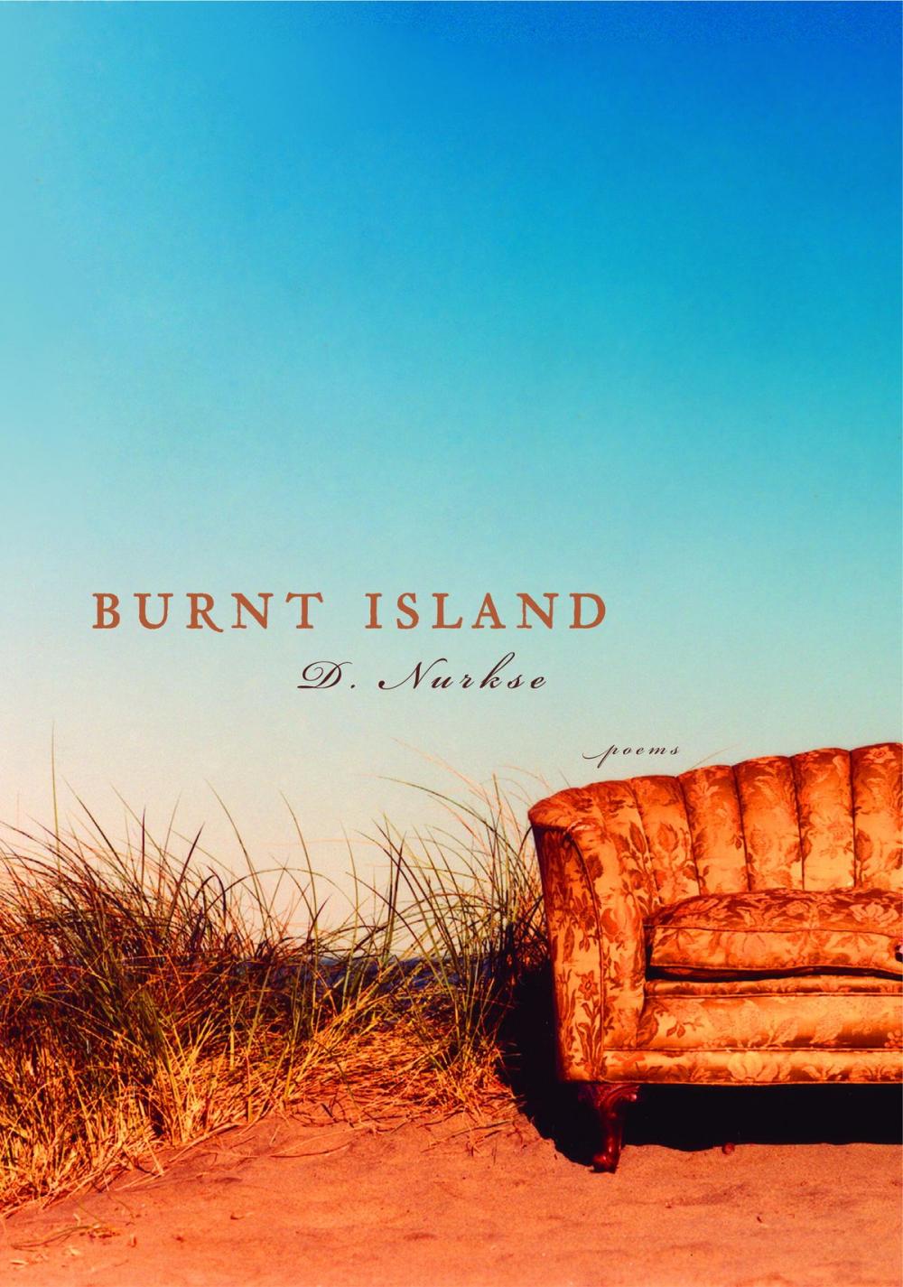 Big bigCover of Burnt Island