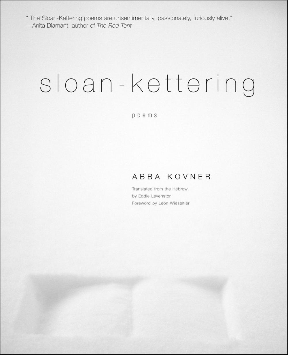 Big bigCover of Sloan-Kettering