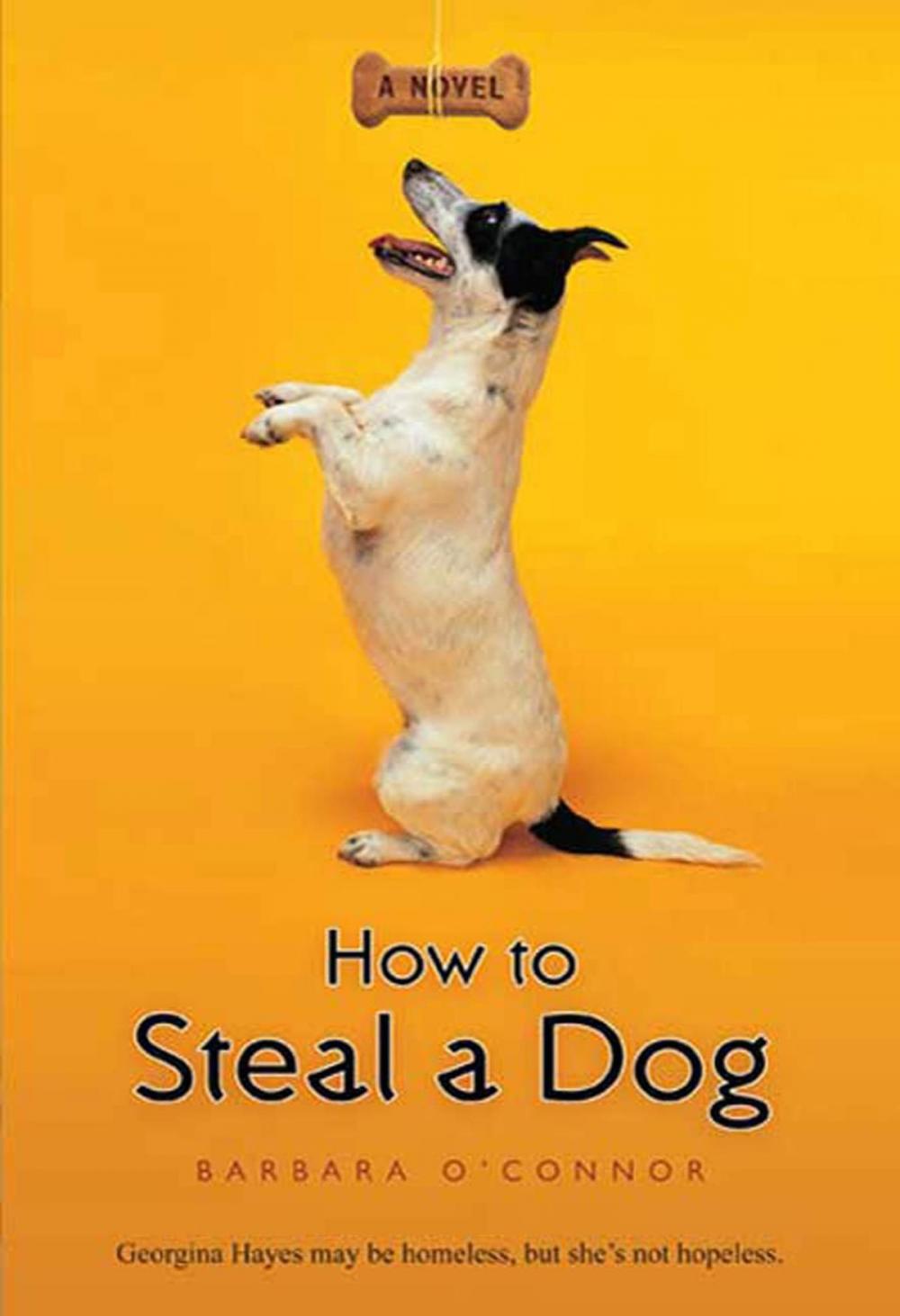 Big bigCover of How to Steal a Dog