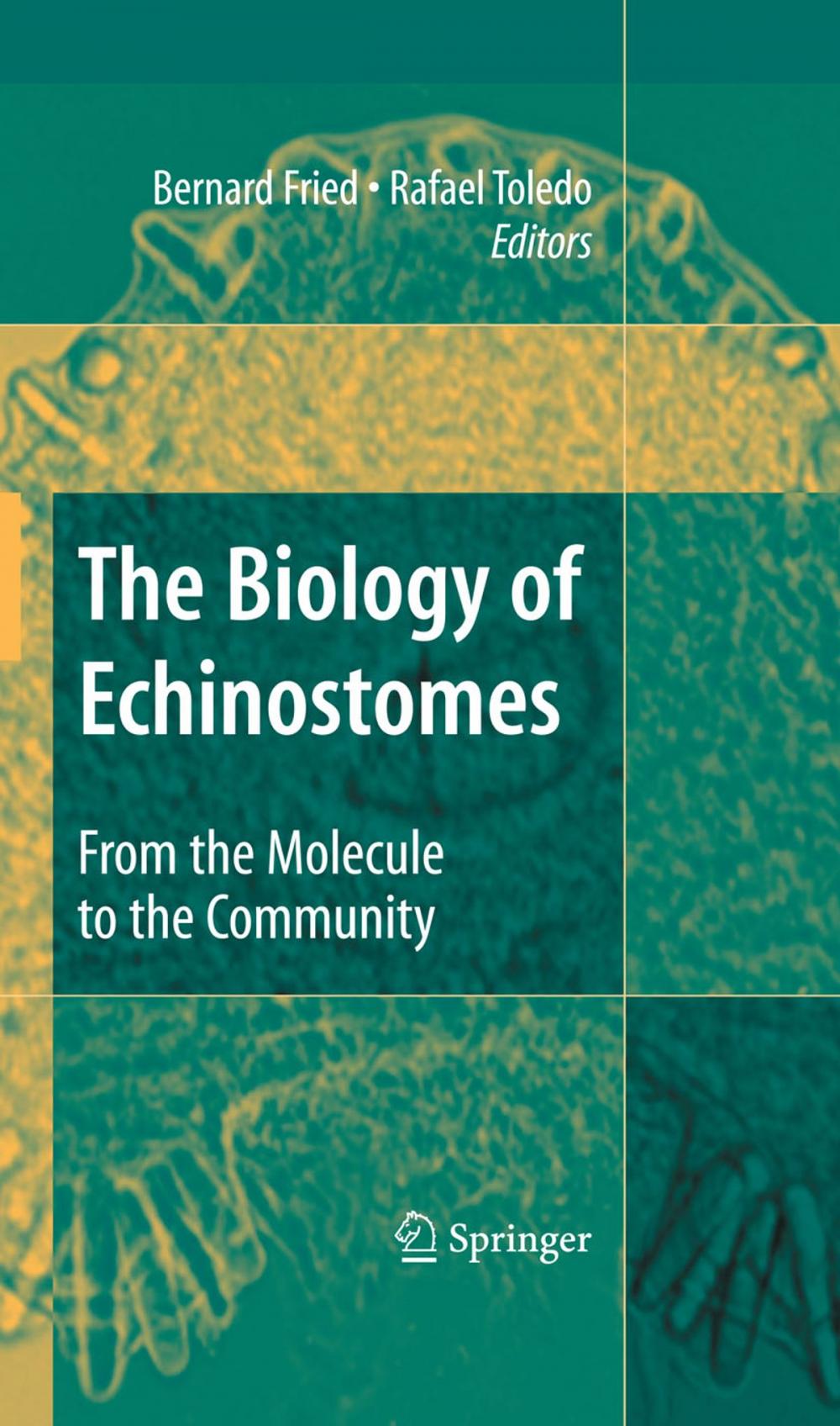 Big bigCover of The Biology of Echinostomes