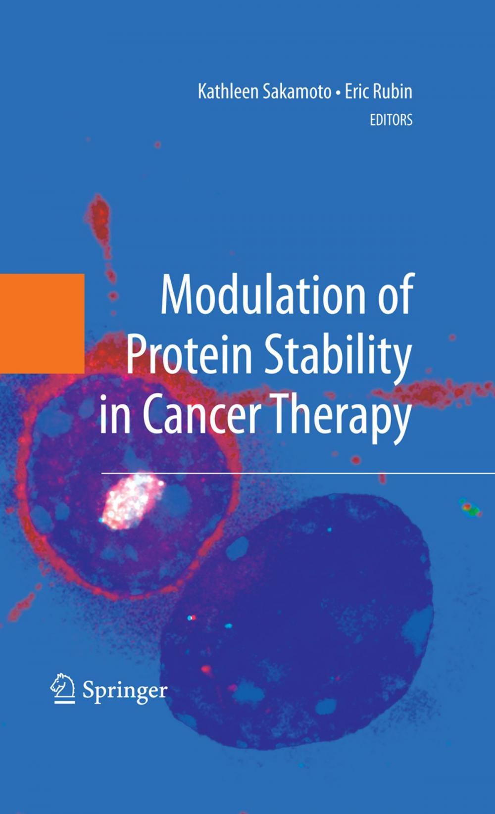 Big bigCover of Modulation of Protein Stability in Cancer Therapy