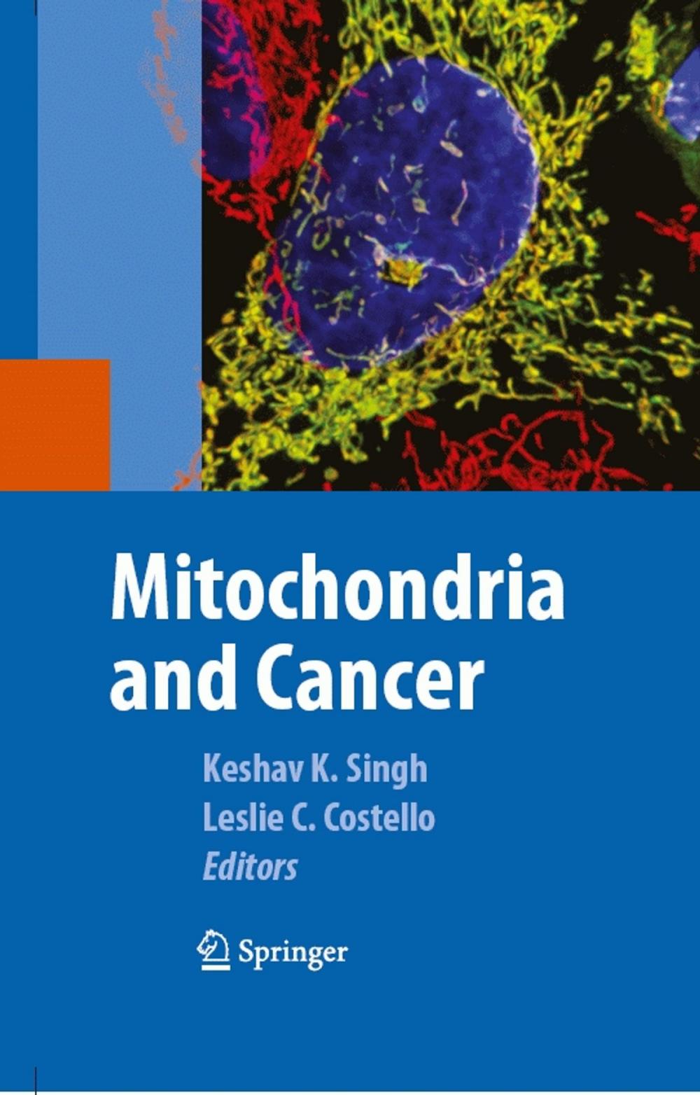 Big bigCover of Mitochondria and Cancer