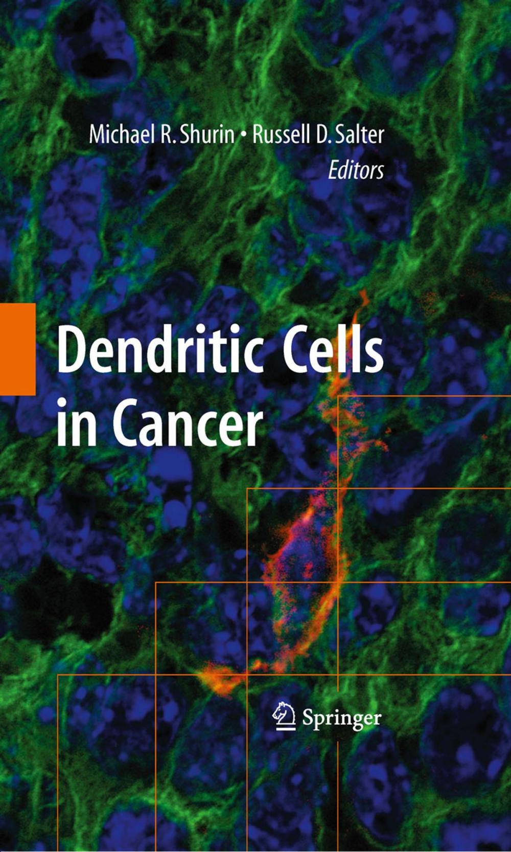 Big bigCover of Dendritic Cells in Cancer