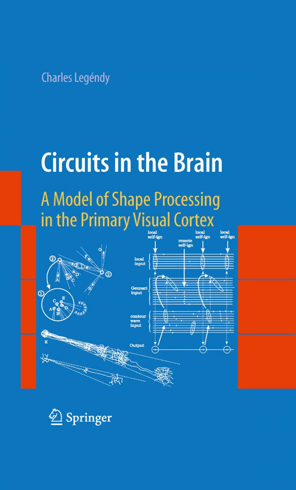 Big bigCover of Circuits in the Brain