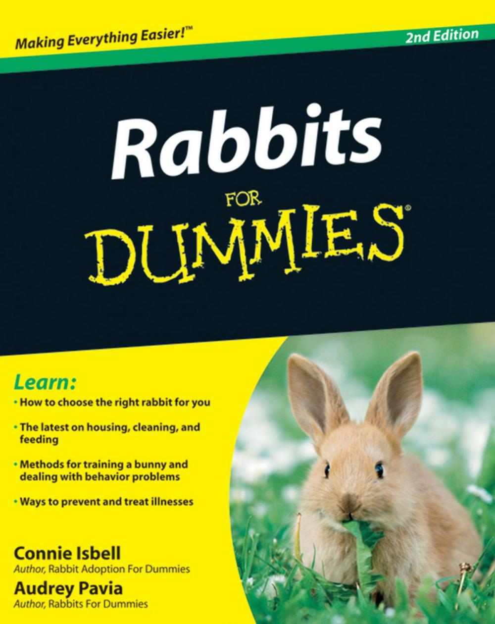 Big bigCover of Rabbits For Dummies