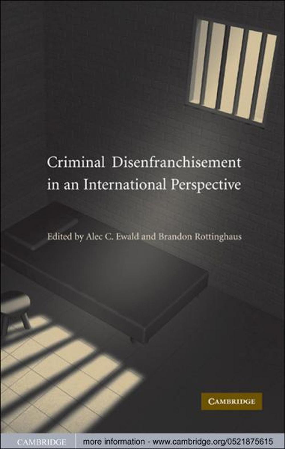 Big bigCover of Criminal Disenfranchisement in an International Perspective