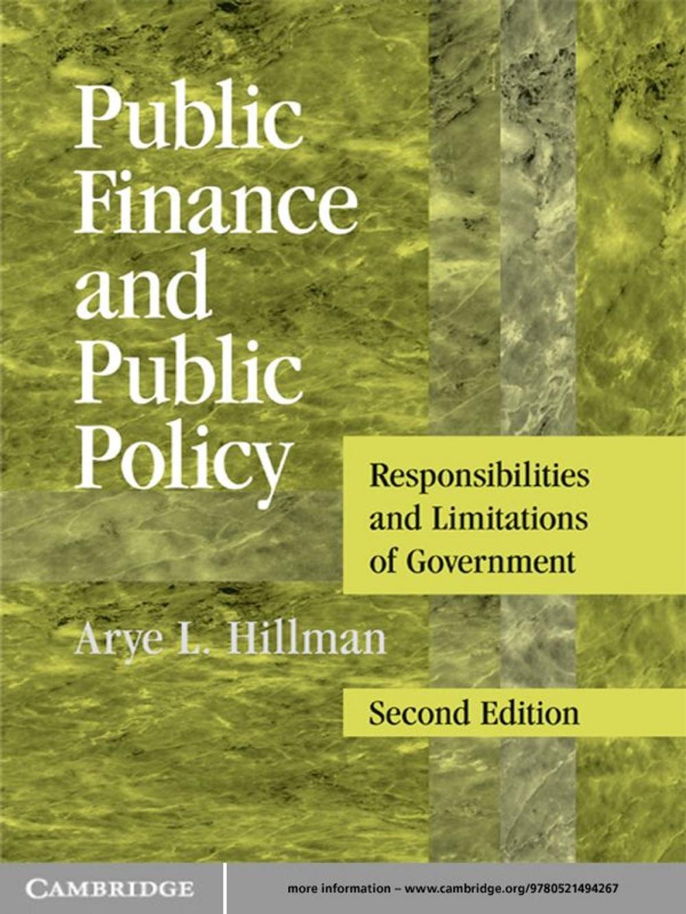 Big bigCover of Public Finance and Public Policy