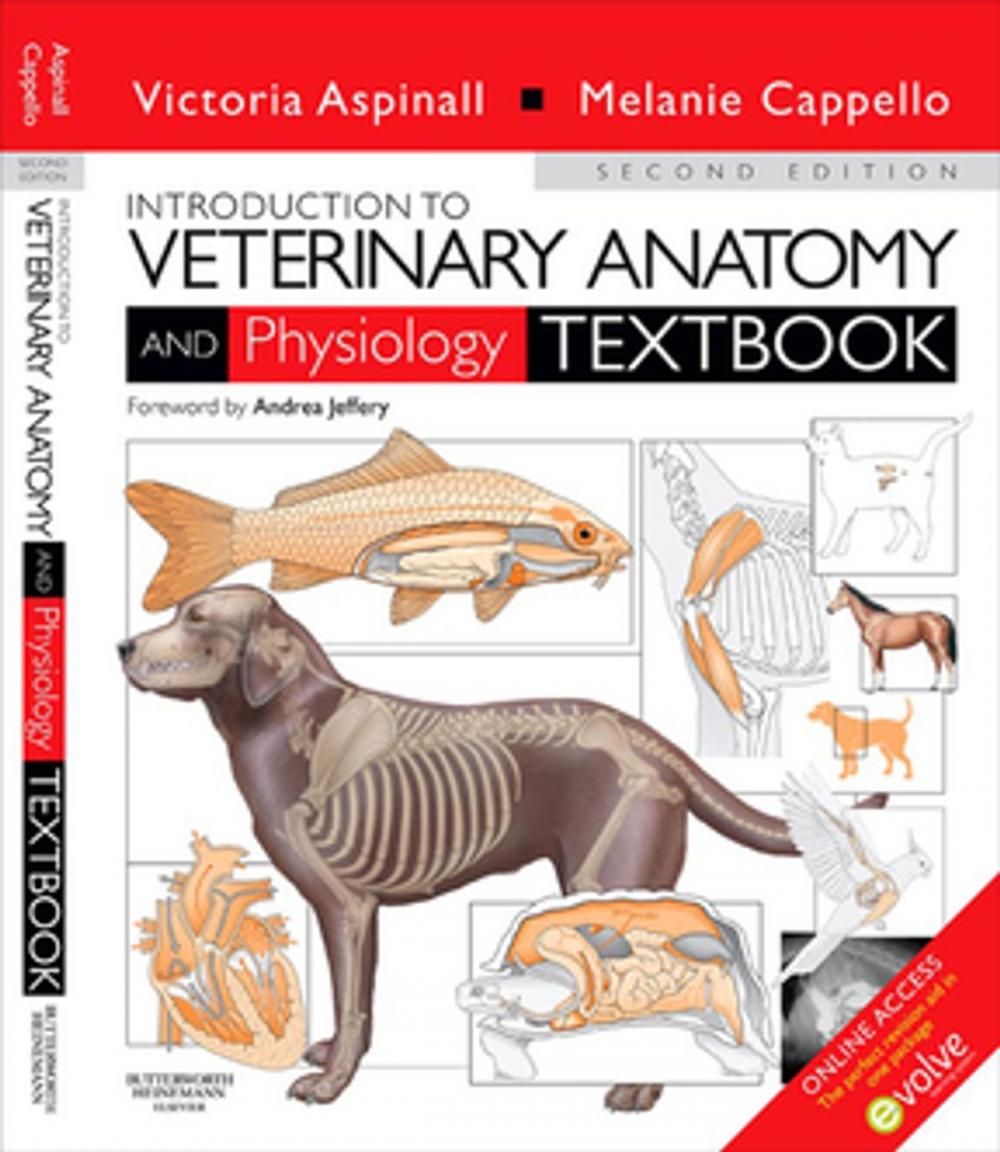 Big bigCover of Introduction to Veterinary Anatomy and Physiology E-Book