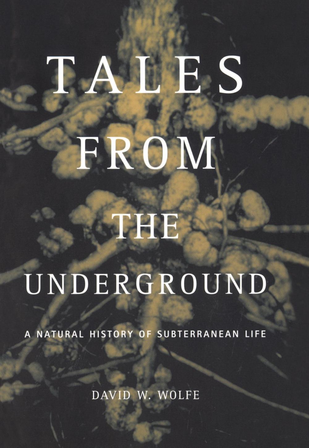 Big bigCover of Tales From The Underground