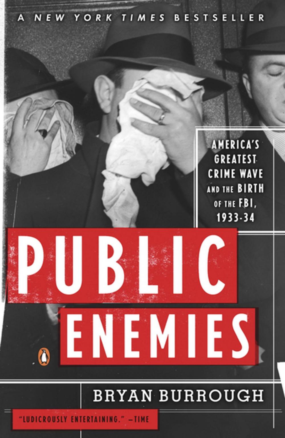 Big bigCover of Public Enemies