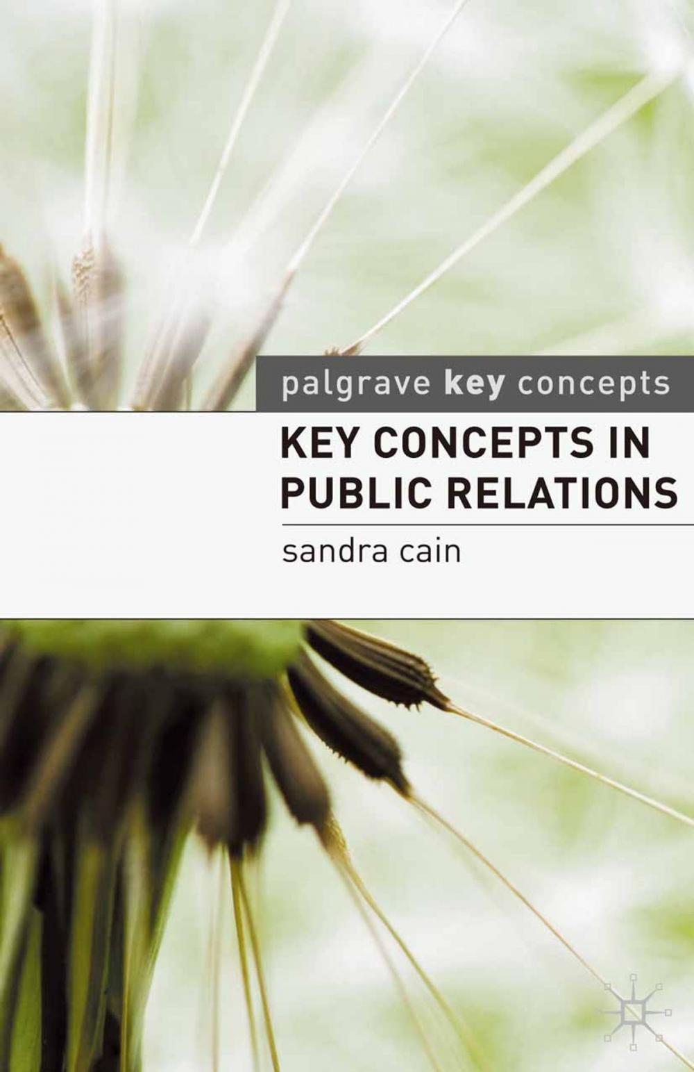 Big bigCover of Key Concepts in Public Relations