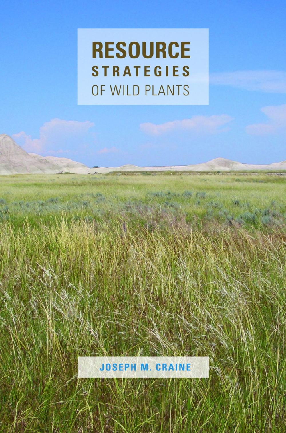 Big bigCover of Resource Strategies of Wild Plants