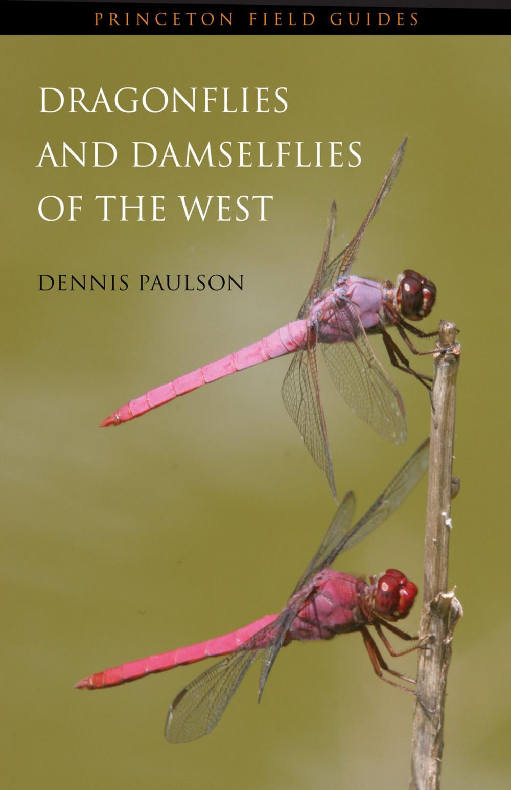 Big bigCover of Dragonflies and Damselflies of the West