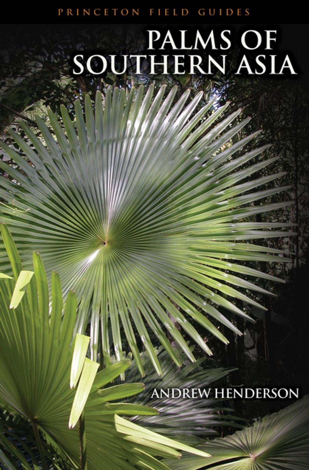 Big bigCover of Palms of Southern Asia