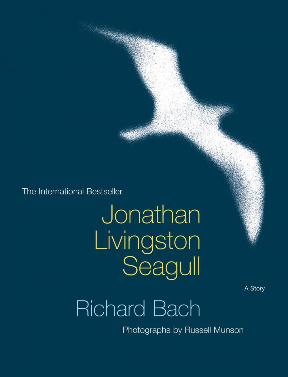 Big bigCover of Jonathan Livingston Seagull