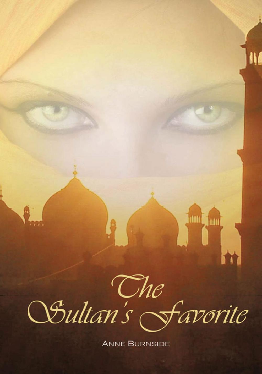 Big bigCover of The Sultan's Favorite