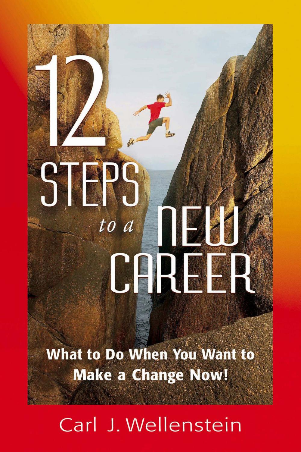 Big bigCover of 12 Steps to a New Career