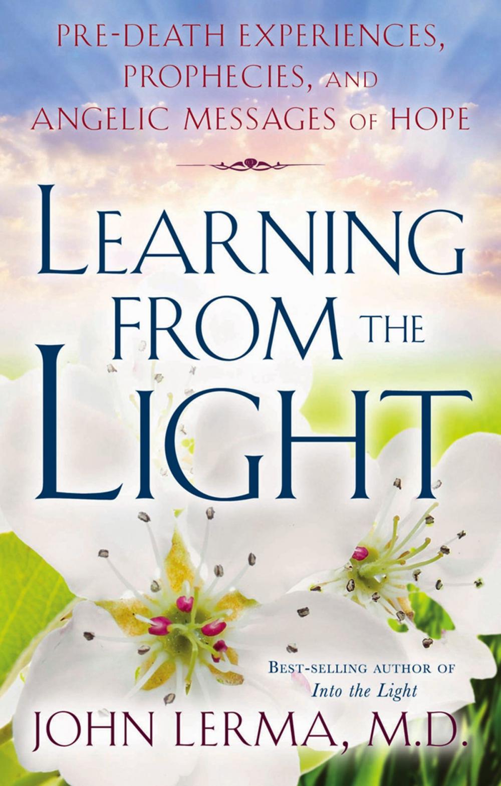 Big bigCover of Learning From the Light