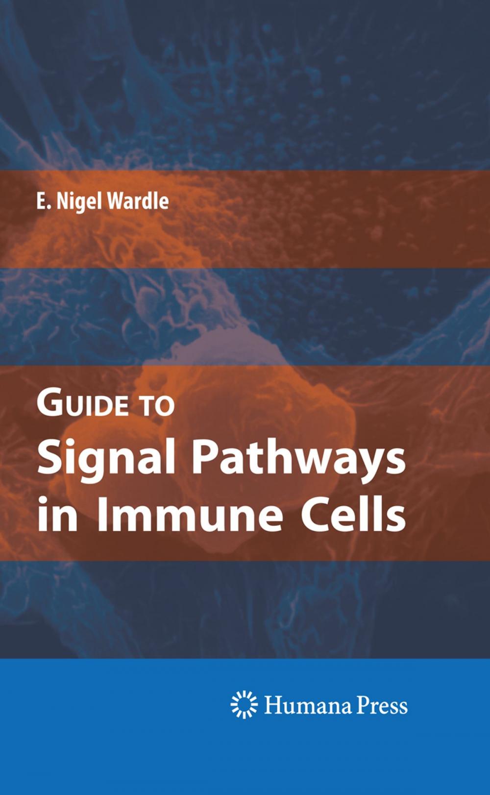 Big bigCover of Guide to Signal Pathways in Immune Cells