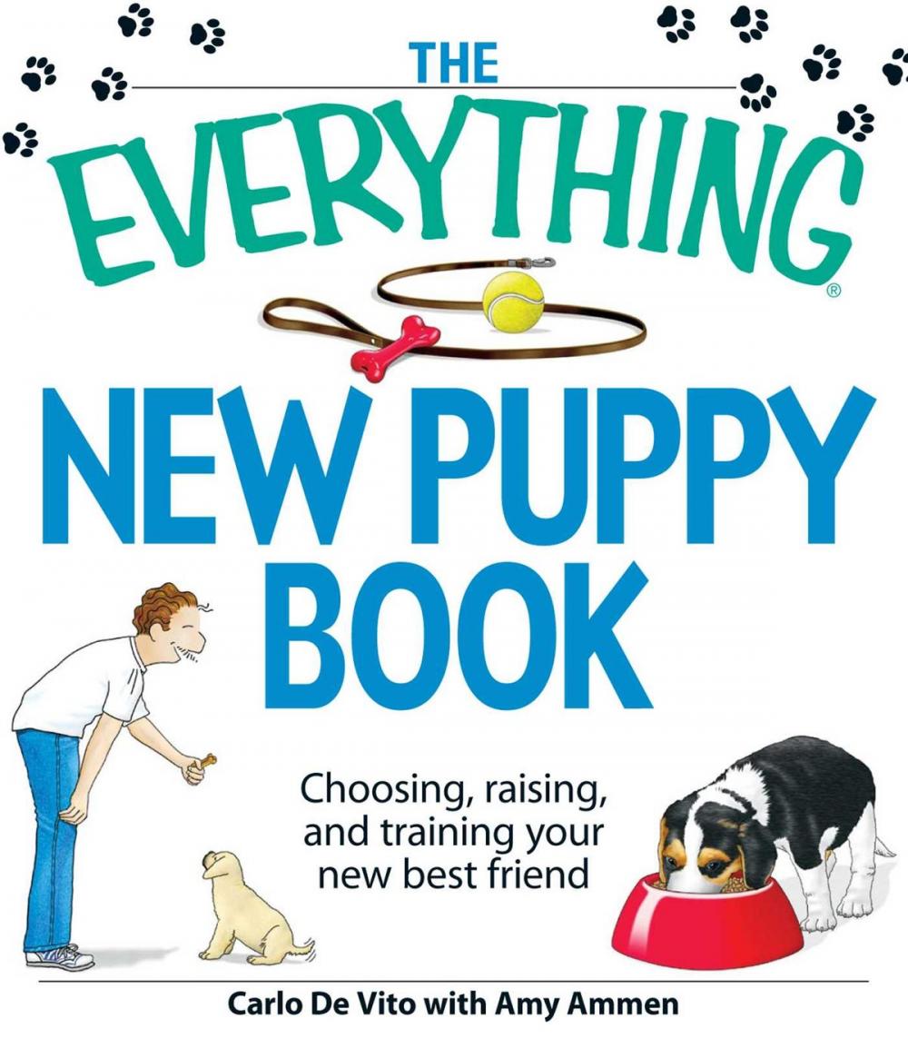 Big bigCover of The Everything New Puppy Book