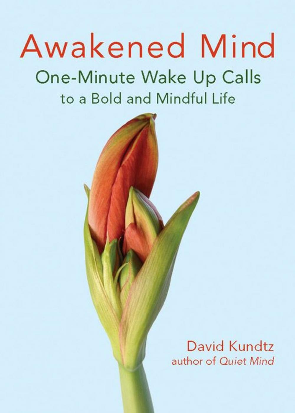 Big bigCover of Awakened Mind: One-Minute Wake Up Calls To A Bold And Mindful Life