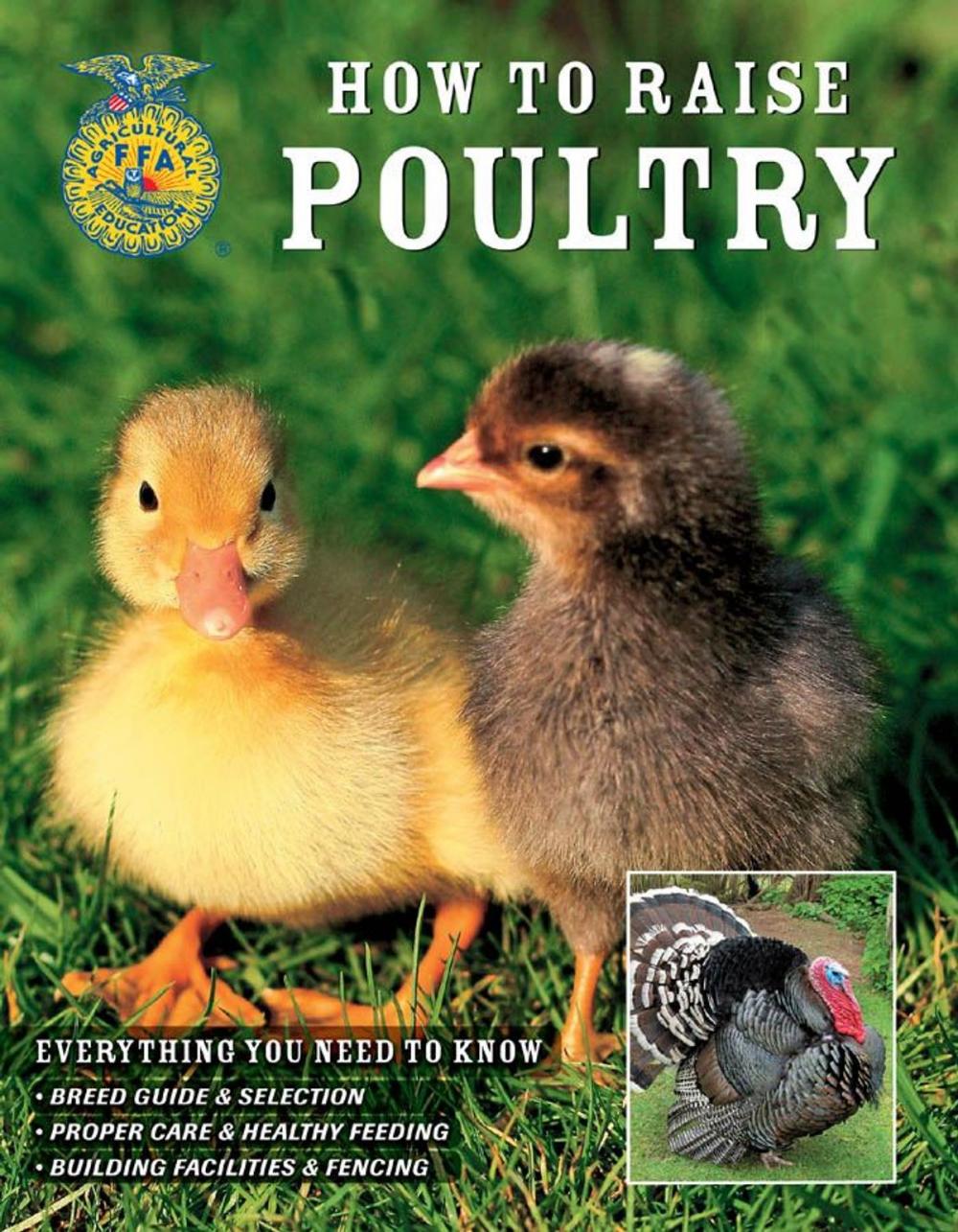 Big bigCover of How to Raise Poultry