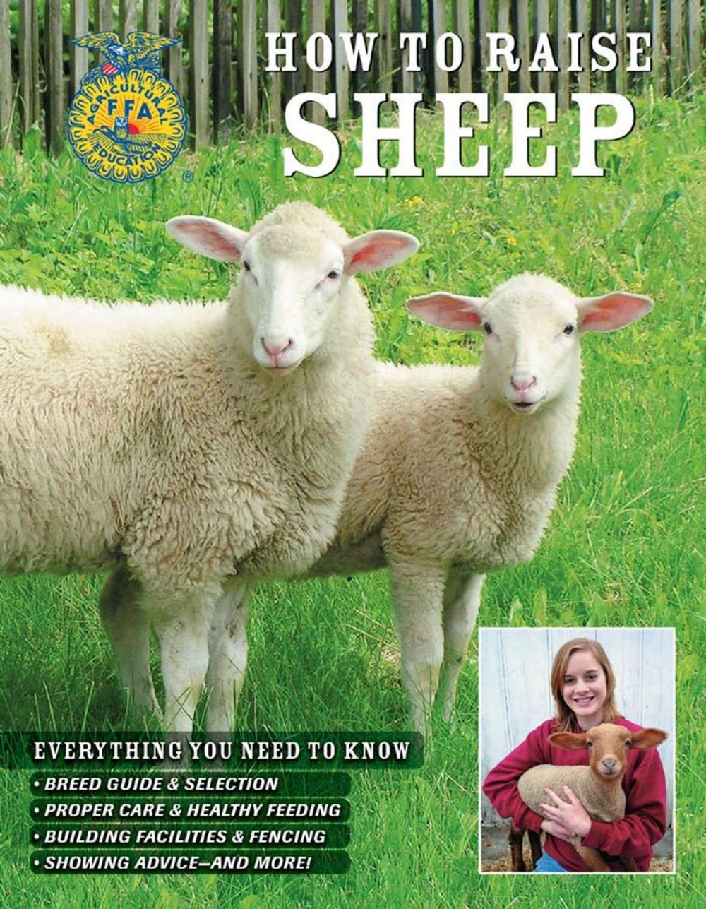 Big bigCover of How to Raise Sheep