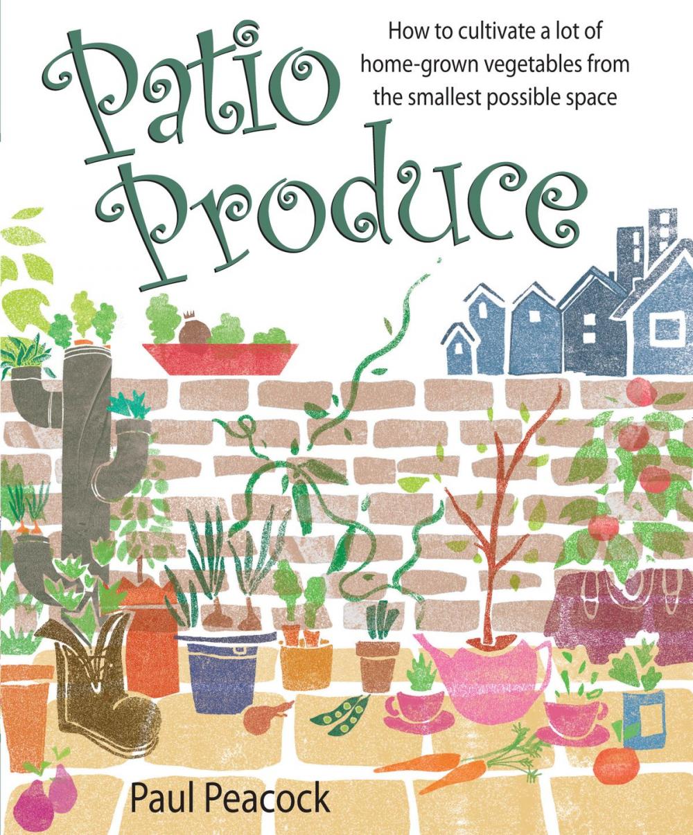 Big bigCover of Patio Produce