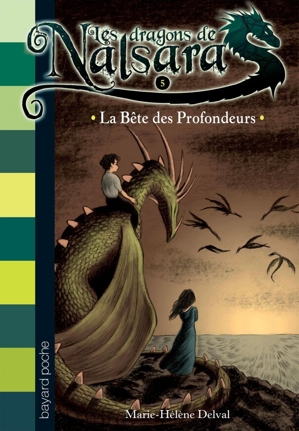 Big bigCover of Les dragons de Nalsara, Tome 5