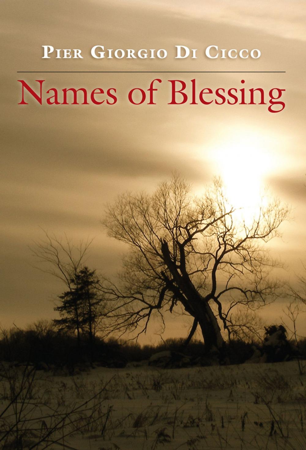 Big bigCover of Names of Blessing