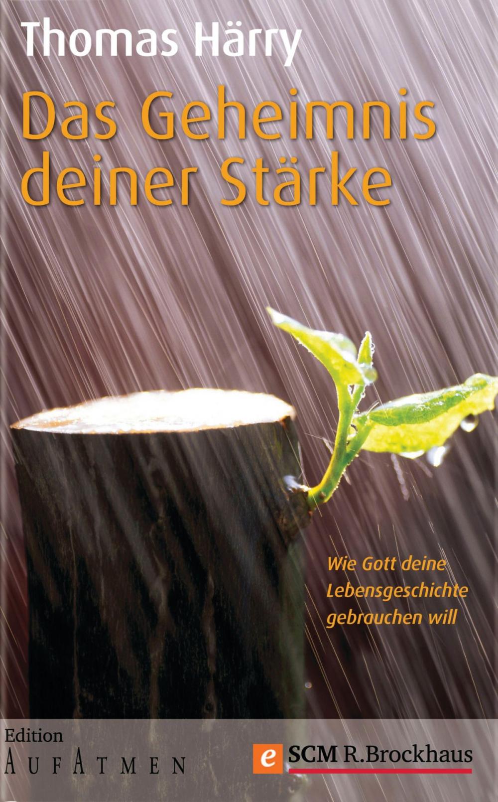 Big bigCover of Das Geheimnis deiner Stärke