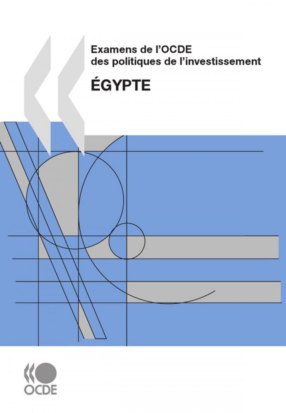 Big bigCover of Examens de l'OCDE des politiques de l'investissement : Égypte 2007