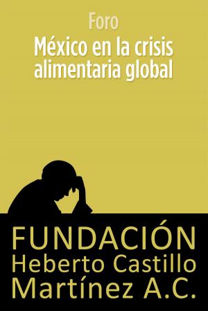 Cover of the book México en la crisis alimentaria global by Fundación Heberto Castillo Martínez AC, Rodolfo Stavenhagen