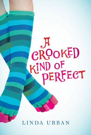 Cover of the book A Crooked Kind of Perfect by Gary Golio