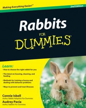 Cover of the book Rabbits For Dummies by Ali Shams