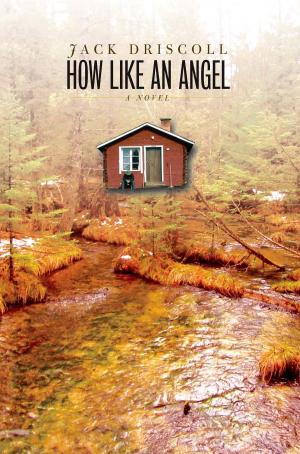 Cover of the book How Like an Angel by John Clanchy